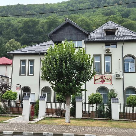 Vila Crinilor Călimăneşti Buitenkant foto