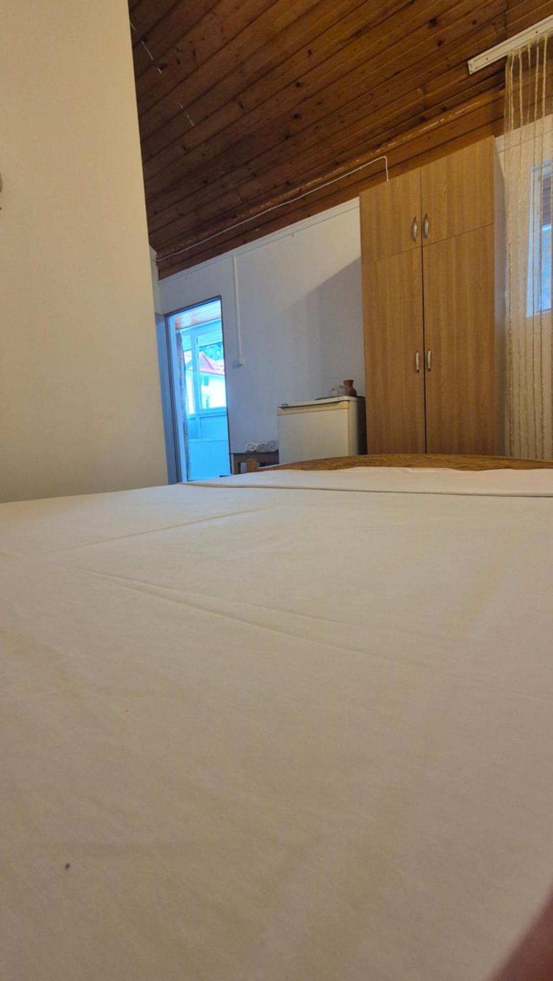 Vila Crinilor Călimăneşti Buitenkant foto