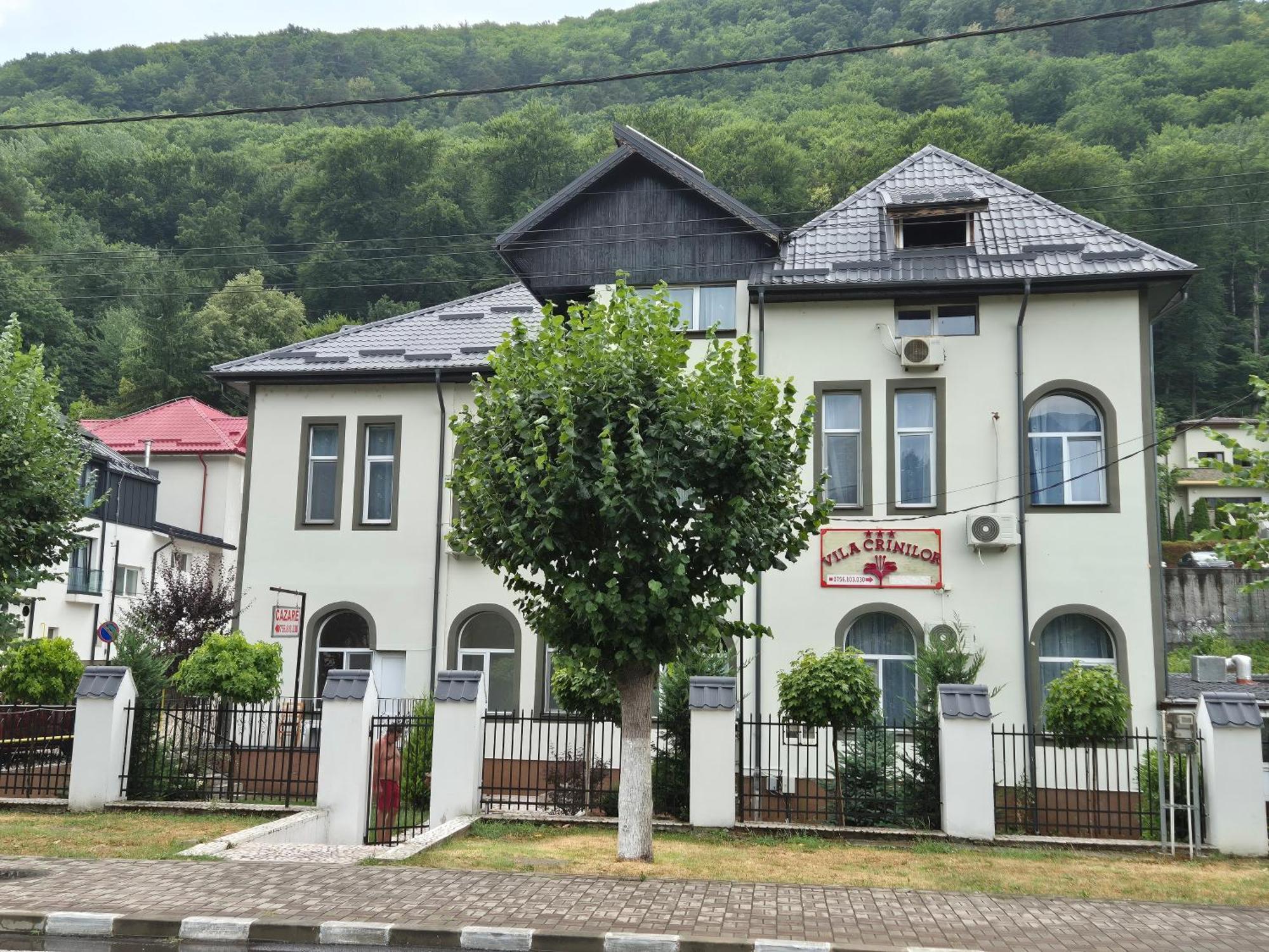 Vila Crinilor Călimăneşti Buitenkant foto